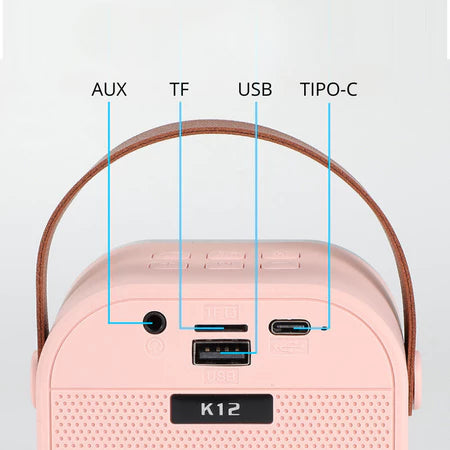 Caixa De Som C/ Microfones Karaokê Brincadeiras em Família